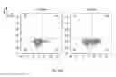 Fig. 25 - Synthetic membrane-receiver complexes
