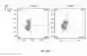 Fig. 26 - Synthetic membrane-receiver complexes
