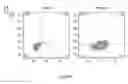 Fig. 33 - Synthetic membrane-receiver complexes