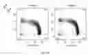 Fig. 48 - Synthetic membrane-receiver complexes