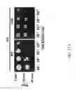 Fig. 63 - Recombinant polynucleotide sequence for producing astaxanthin and uses thereof