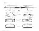 Fig. 02 - Harnessing heterologous and endogenous CRISPR-Cas machineries for efficient markerless genome editing in Clostridium