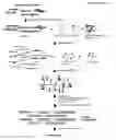 Fig. 01 - Methods of capturing cell-free methylated DNA and uses of same