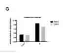 Fig. 08 - Methods of capturing cell-free methylated DNA and uses of same