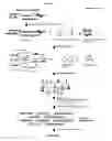 Fig. 09 - Methods of capturing cell-free methylated DNA and uses of same