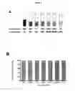 Fig. 14 - Methods of capturing cell-free methylated DNA and uses of same