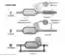 Fig. 01 - Combinatorial Metabolic Engineering Using a CRISPR System