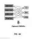 Fig. 07 - Combinatorial Metabolic Engineering Using a CRISPR System