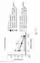 Fig. 35 - T cell differentiation and function regulation by decreasing let7 expression