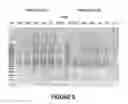 Fig. 06 - Antisense oligonucleotides for inducing exon skipping and methods of use thereof