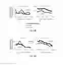 Fig. 19 - Modulating the cellular stress response