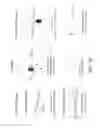 Fig. 27 - Modulating the cellular stress response