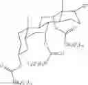 Fig. 22 - MicroRNA Compounds and Methods for Modulating MIR-122