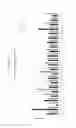 Fig. 80 - MODIFIED TGF-BETA OLIGONUCLEOTIDE FOR USE IN A METHOD OF PREVENTING AND/OR TREATING AN OPHTHALMIC DISEASE