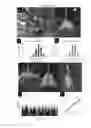 Fig. 02 - Mutation of the ZMCIPK15 gene to increase root angle and to enhance abiotic stress tolerance in maize