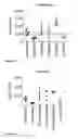 Fig. 12 - Minimal UTR sequences