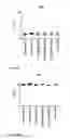 Fig. 16 - Minimal UTR sequences