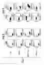Fig. 02 - Nipah virus envelope glycoprotein pseudotyped lentivirus