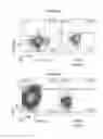 Fig. 02 - CRISPR/Cas9 complex for genomic editing
