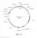 Fig. 08 - High level production of long-chain dicarboxylic acids with microbes