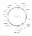 Fig. 10 - High level production of long-chain dicarboxylic acids with microbes