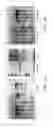 Fig. 12 - High level production of long-chain dicarboxylic acids with microbes
