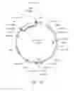 Fig. 16 - High level production of long-chain dicarboxylic acids with microbes