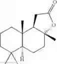 Fig. 04 - Enzymatic cyclization of homofarnesylic acid