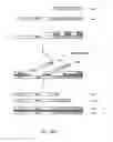 Fig. 06 - Methods for amplifying nucleic acid using tag-mediated displacement