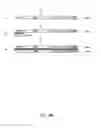 Fig. 07 - Methods for amplifying nucleic acid using tag-mediated displacement