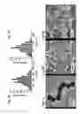 Fig. 09 - BIOSENSORS