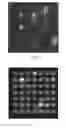 Fig. 07 - Semi-permeable arrays for analyzing biological systems and methods of using same