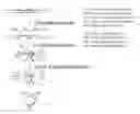 Fig. 01 - Method for selecting a target nucleic acid sequence