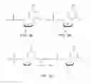 Fig. 04 - Synthetic nucleic acid control molecules