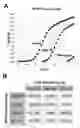 Fig. 01 - METHODS OF DETECTING A MUTATED GENE BY MULTIPLEX DIGITAL PCR