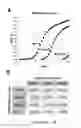 Fig. 02 - METHODS OF DETECTING A MUTATED GENE BY MULTIPLEX DIGITAL PCR