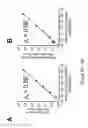 Fig. 17 - METHODS OF DETECTING A MUTATED GENE BY MULTIPLEX DIGITAL PCR