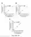 Fig. 19 - METHODS OF DETECTING A MUTATED GENE BY MULTIPLEX DIGITAL PCR
