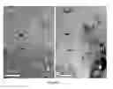 Fig. 03 - Method for preparing oxide dispersion strengthening F/M steel using smelting and casting process