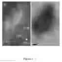 Fig. 04 - Method for preparing oxide dispersion strengthening F/M steel using smelting and casting process