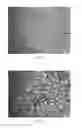 Fig. 03 - METHOD FOR CONTROLLING MICROSTRUCTURE OF RECYCLED ALUMINUM ALLOY