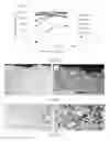 Fig. 03 - Coating compositions