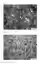 Fig. 02 - CAST IRON MATERIAL