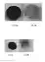Fig. 04 - METHOD OF FORMING COPPER METAL LAYER ON NON-METALLIC MATERIAL