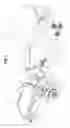 Fig. 02 - Lawn sweeper