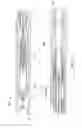 Fig. 03 - Underreamer for increasing a wellbore diameter