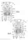 Fig. 08 - Variable valve actuation system for type II valverain using lost motion and reset