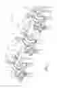 Fig. 02 - Rocker arm assembly for engine braking
