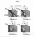 Fig. 02 - Fuel Injection Control Device