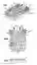 Fig. 02 - Lighting devices that comprise one or more solid state light emitters